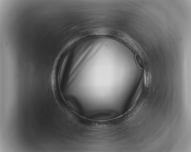 X0000101440531200807211214