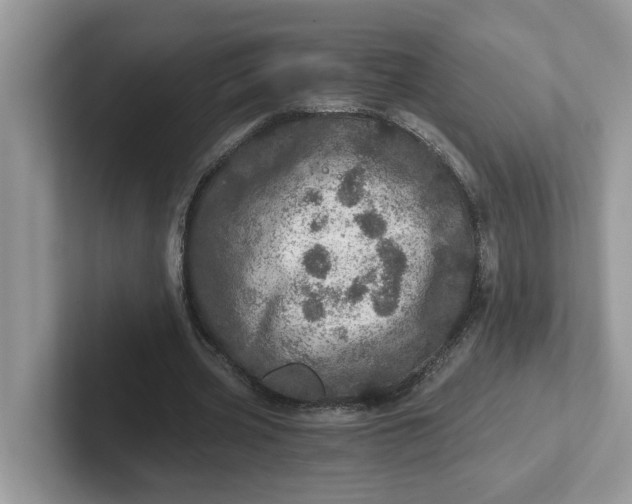 X0000101440533200807211214