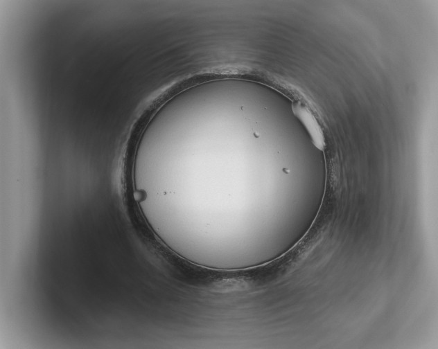 X0000101440536200807211214