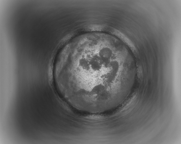 X0000101440537200807211214