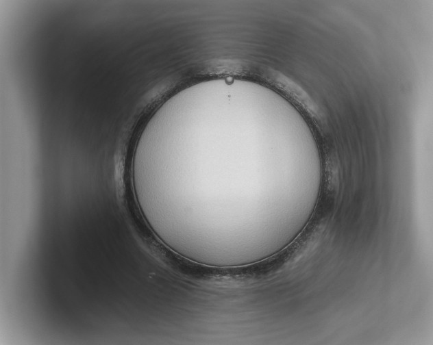 X0000101440538200807211214