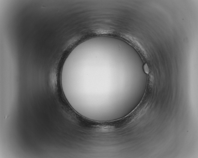 X0000101440539200807211214