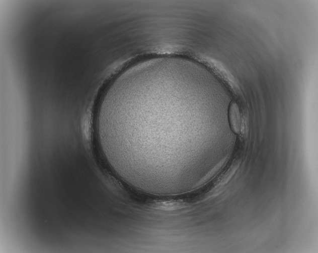 X0000101440540200807211214