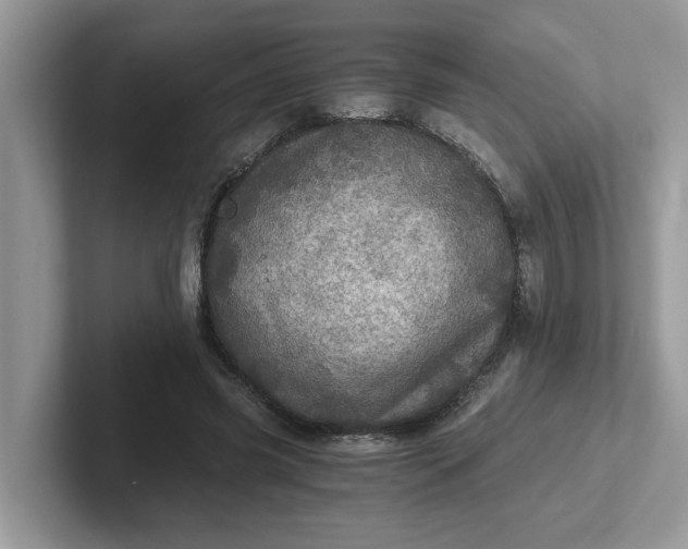 X0000101440541200807211214