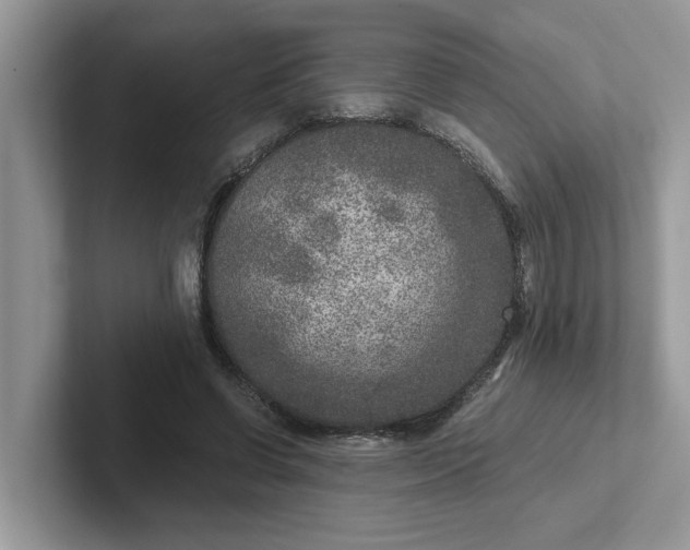 X0000101440542200807211214