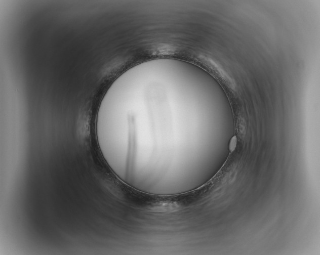 X0000101440543200807211214