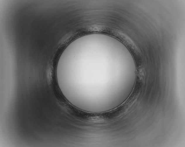 X0000101440544200807211214