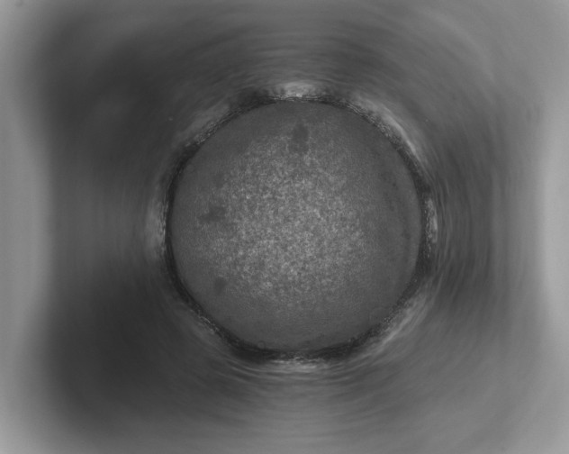 X0000101440545200807211214