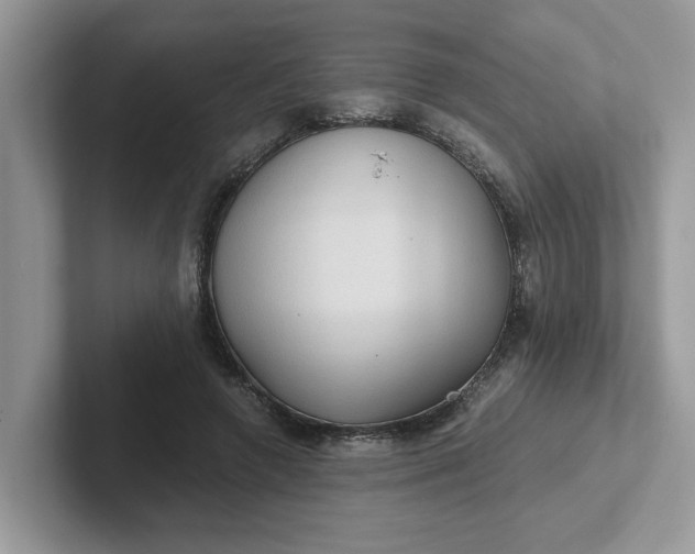 X0000101440546200807211214