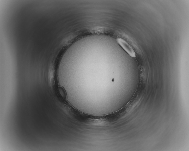 X0000101440548200807211214