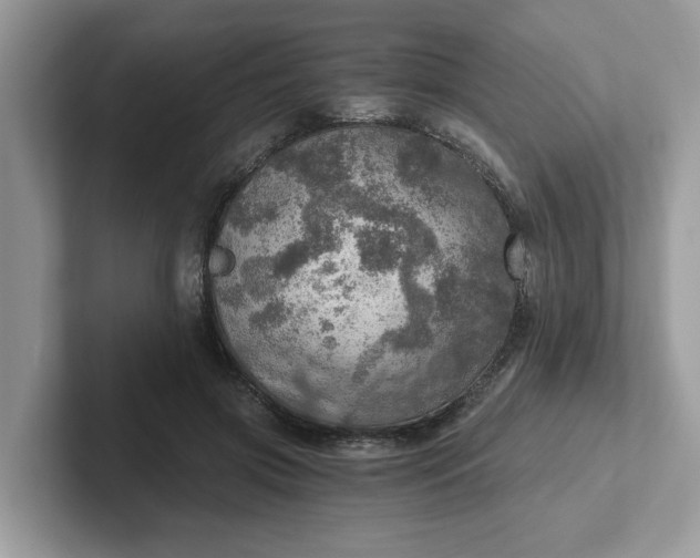 X0000101440549200807211214