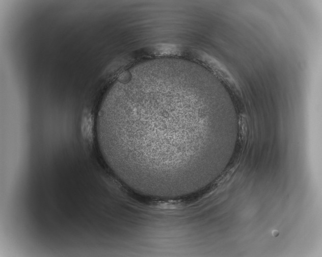 X0000101440550200807211214