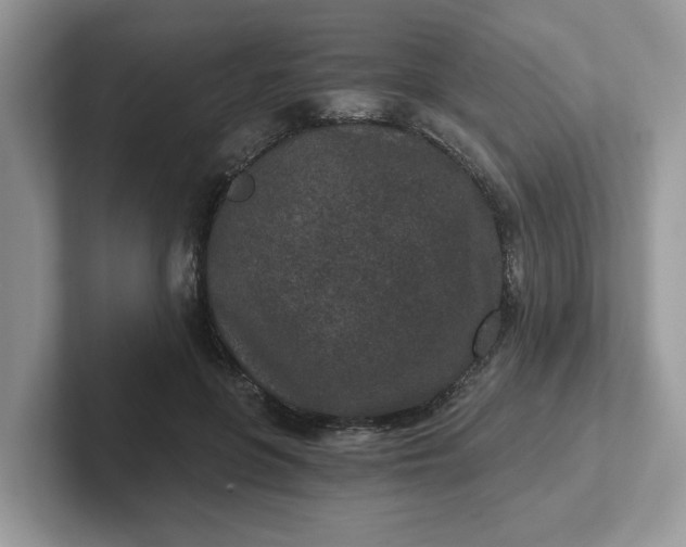 X0000101440551200807211214