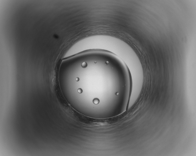 X0000101440552200807211214