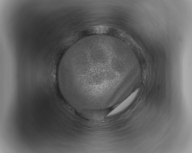 X0000101440553200807211214