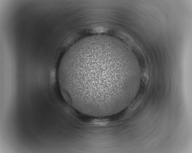 X0000101440556200807211214