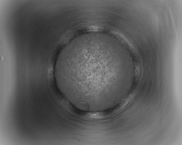 X0000101440557200807211214