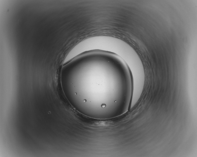 X0000101440558200807211214