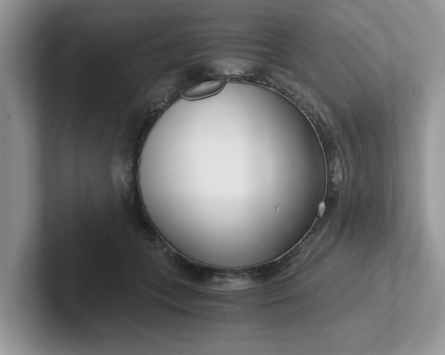 X0000101440559200807211214