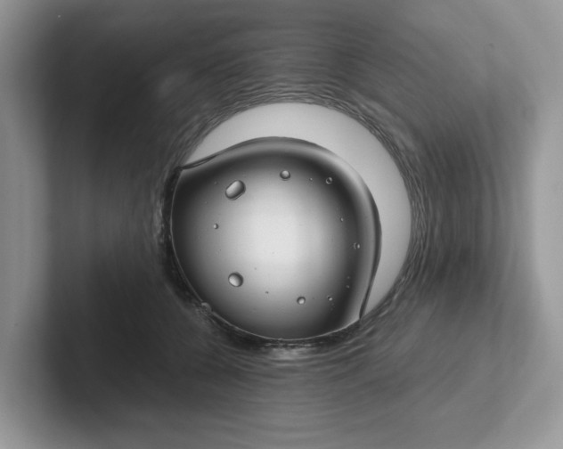 X0000101440560200807211214