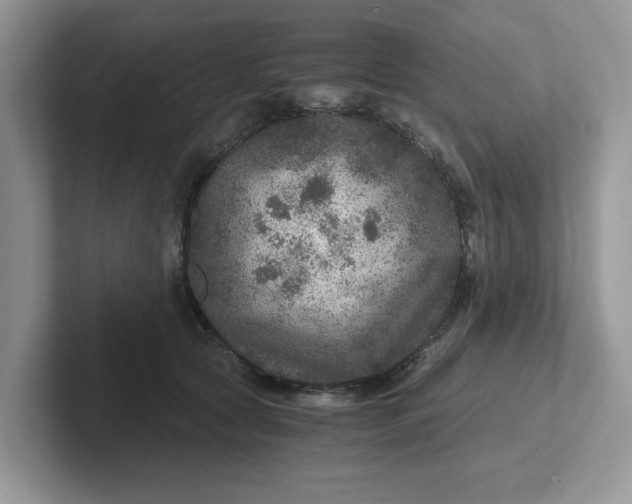 X0000101440561200807211214