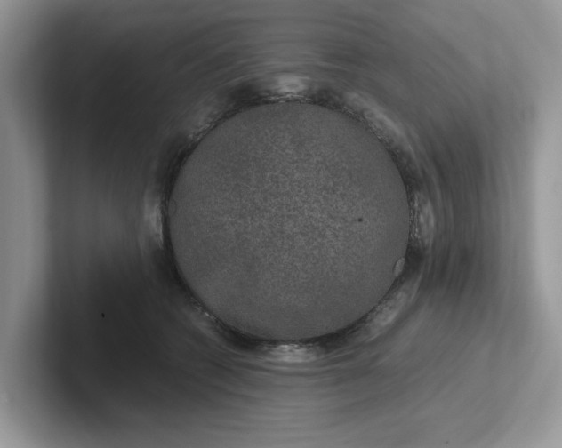 X0000101440562200807211215