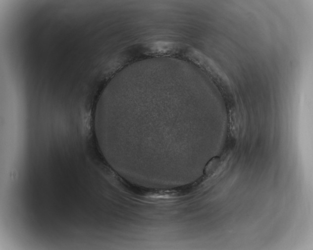 X0000101440563200807211215