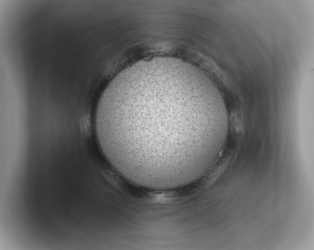 X0000101440564200807211215