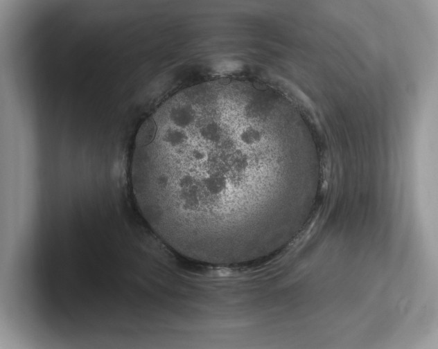 X0000101440565200807211215