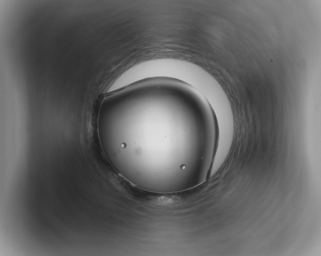 X0000101440566200807211215