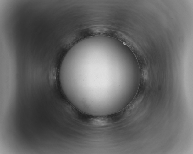 X0000101440567200807211215