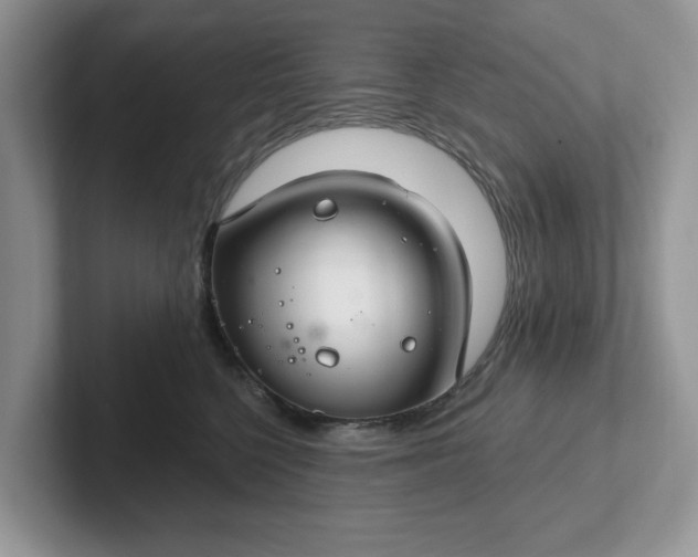 X0000101440568200807211215