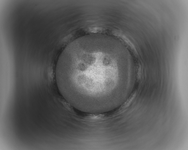 X0000101440569200807211215