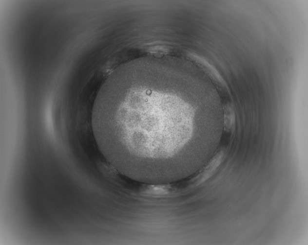 X0000101440573200807211215