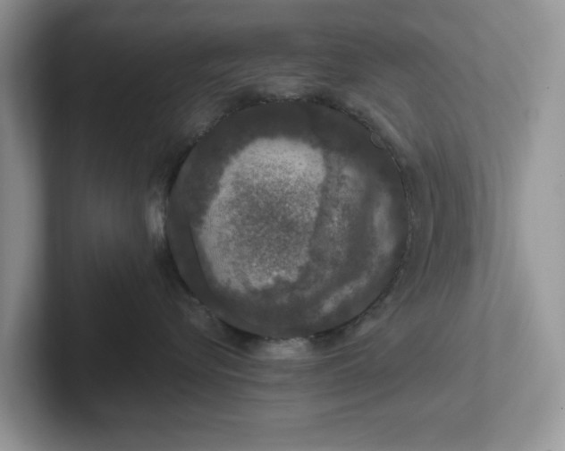 X0000101440576200807211215