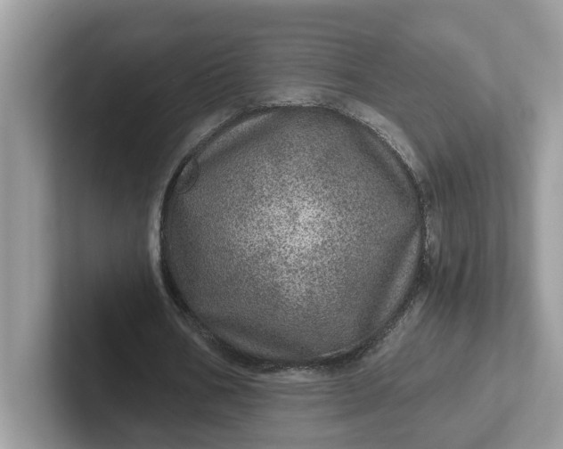 X0000101440578200807211214