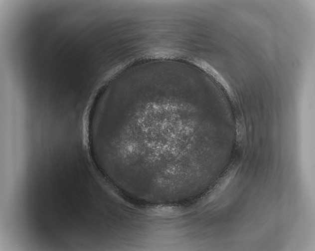 X0000101440581200807211214