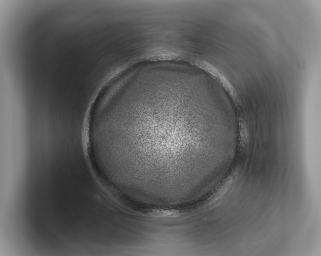 X0000101440582200807211214