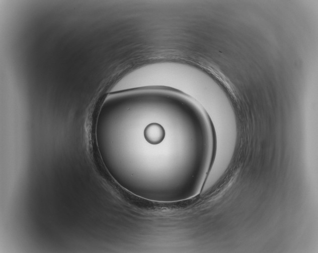 X0000101440585200807211214