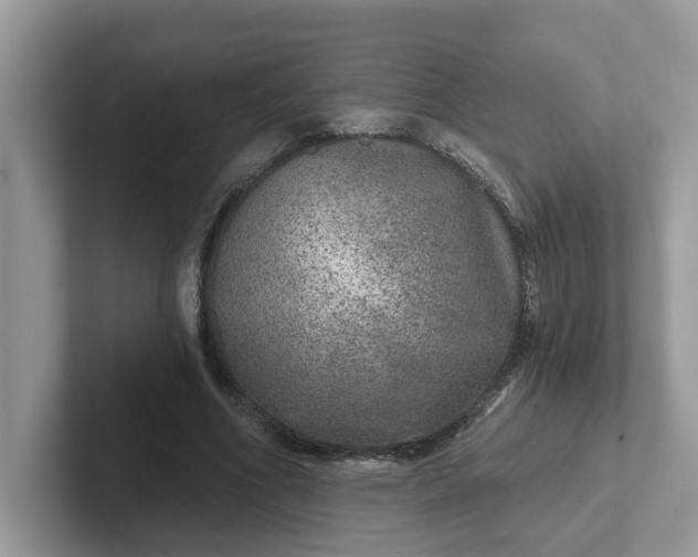 X0000101440586200807211214