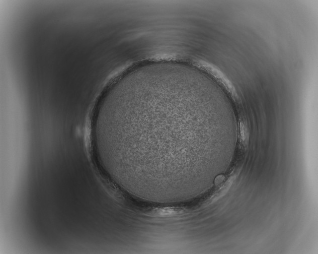 X0000101440588200807211214