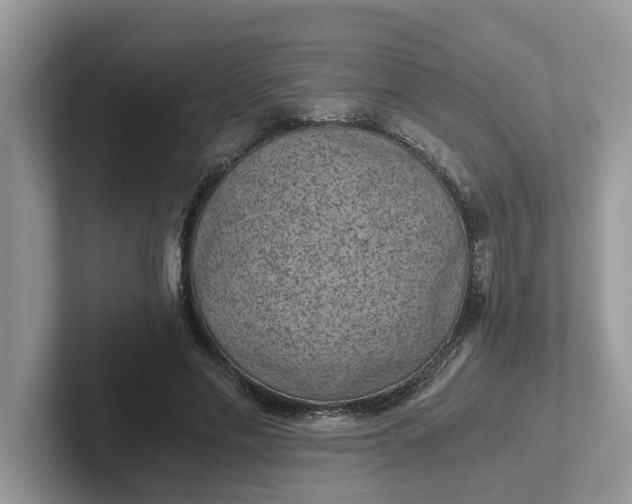 X0000101440589200807211214