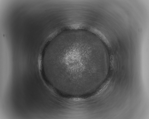 X0000101440590200807211214