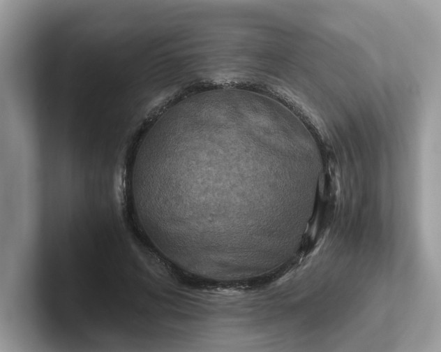 X0000101440592200807211214