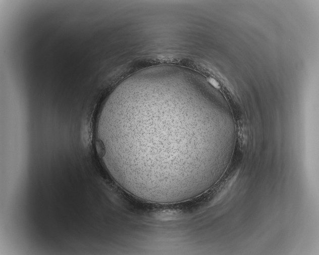 X0000101440593200807211214