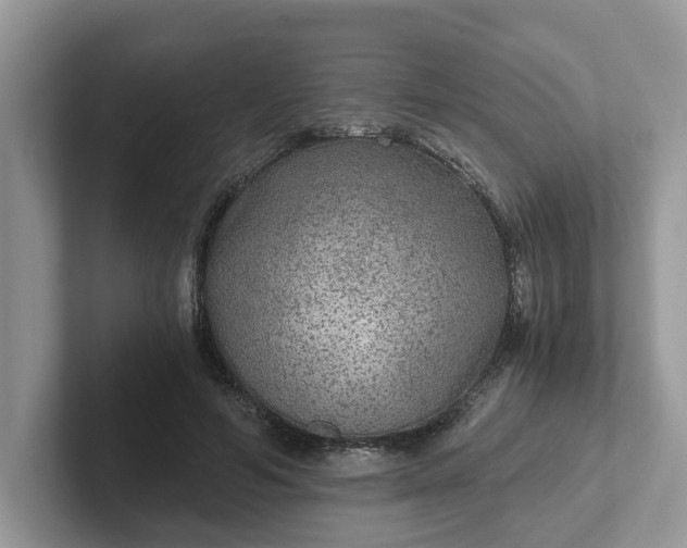 X0000101440594200807211214