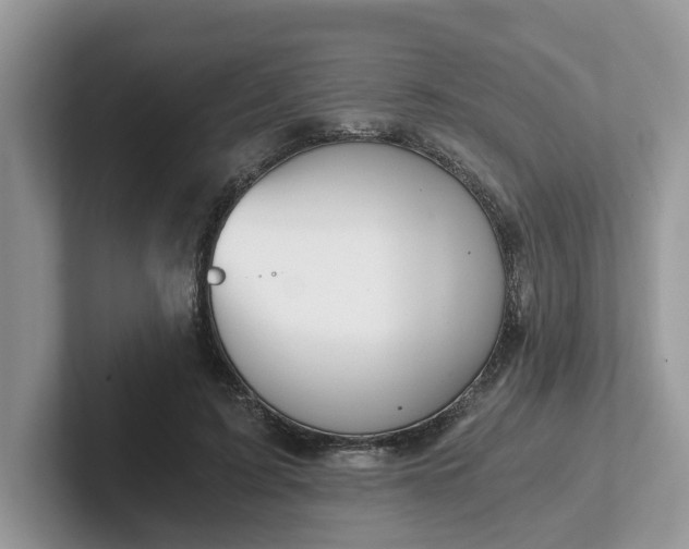 X0000101440595200807211214