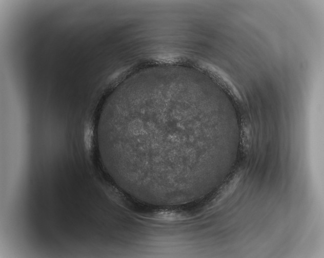 X0000101440596200807211214