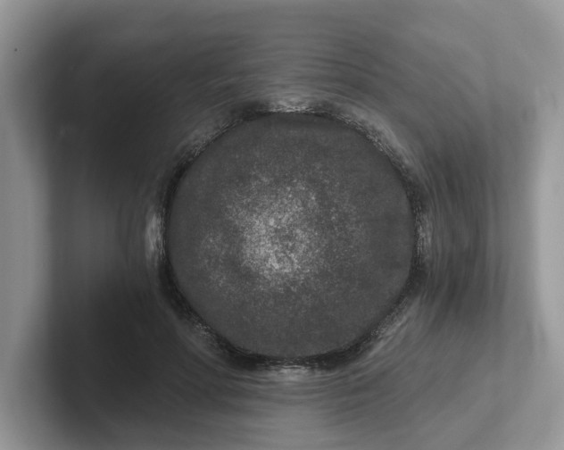 X0000101440598200807211214