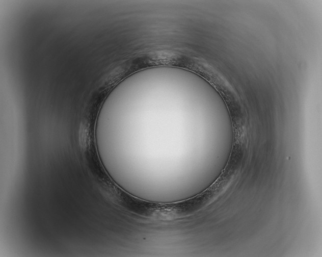 X0000101440599200807211214